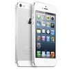 Apple iPhone 5 64Gb white - Сарапул